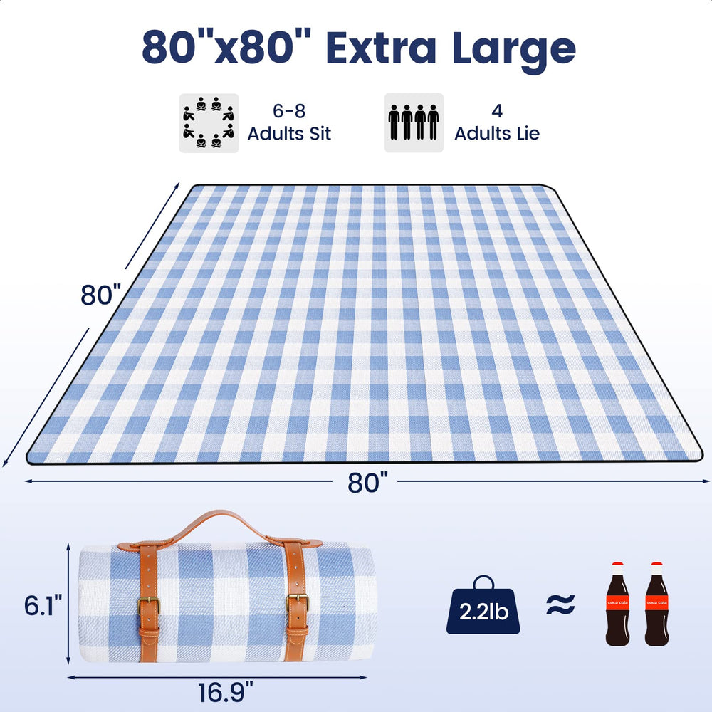 sapsisel picnic blanket laid out on grass with people sitting