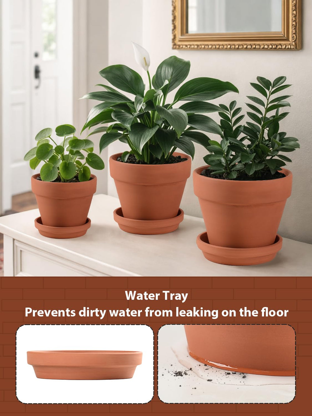 Saucer included with terracotta pot set