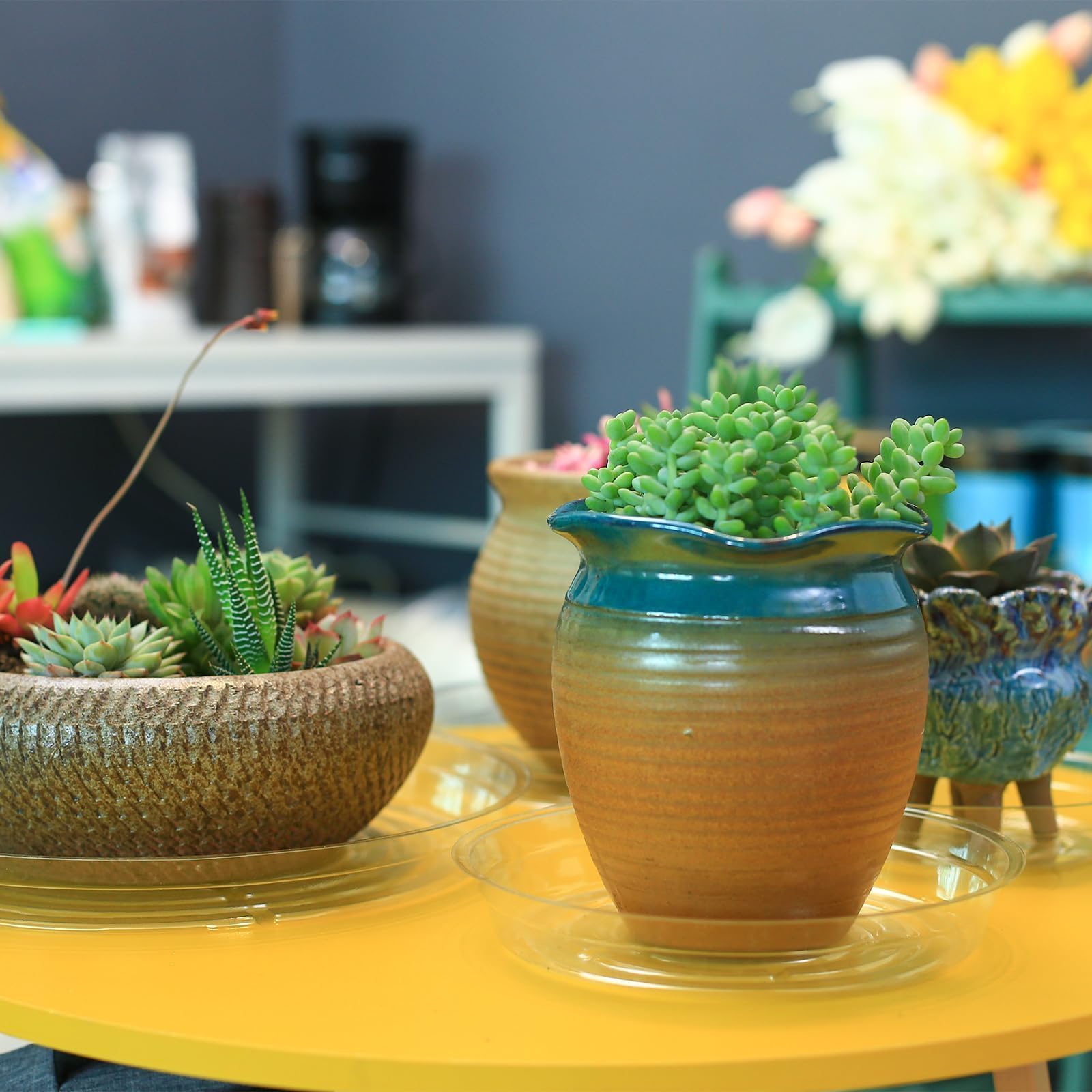 Saucer with decorative pebbles and plant