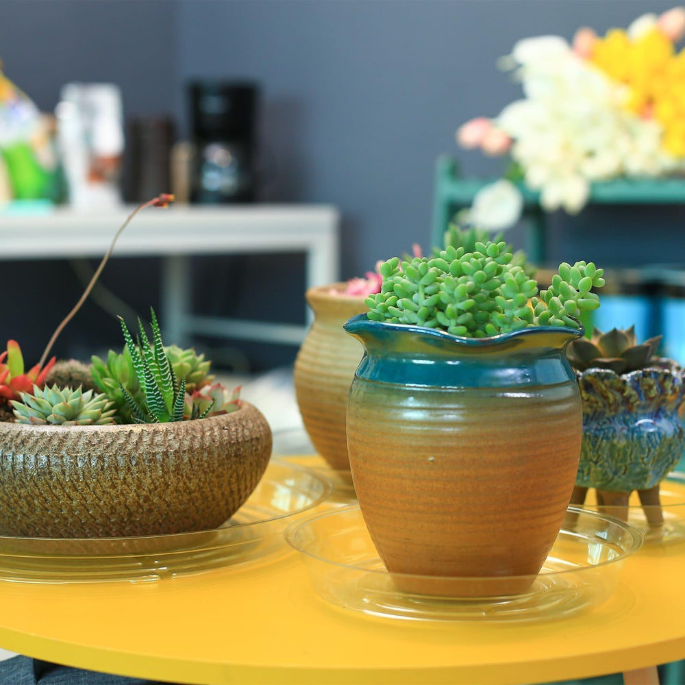 Saucer with decorative pebbles and plant
