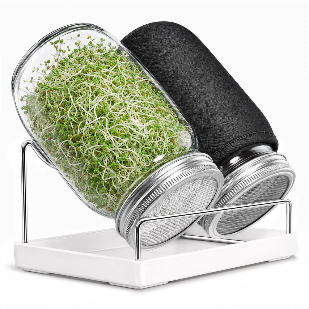 SBMKK Seed Sprouting Jar Kit with two wide mouth glass jars and sprouting lids