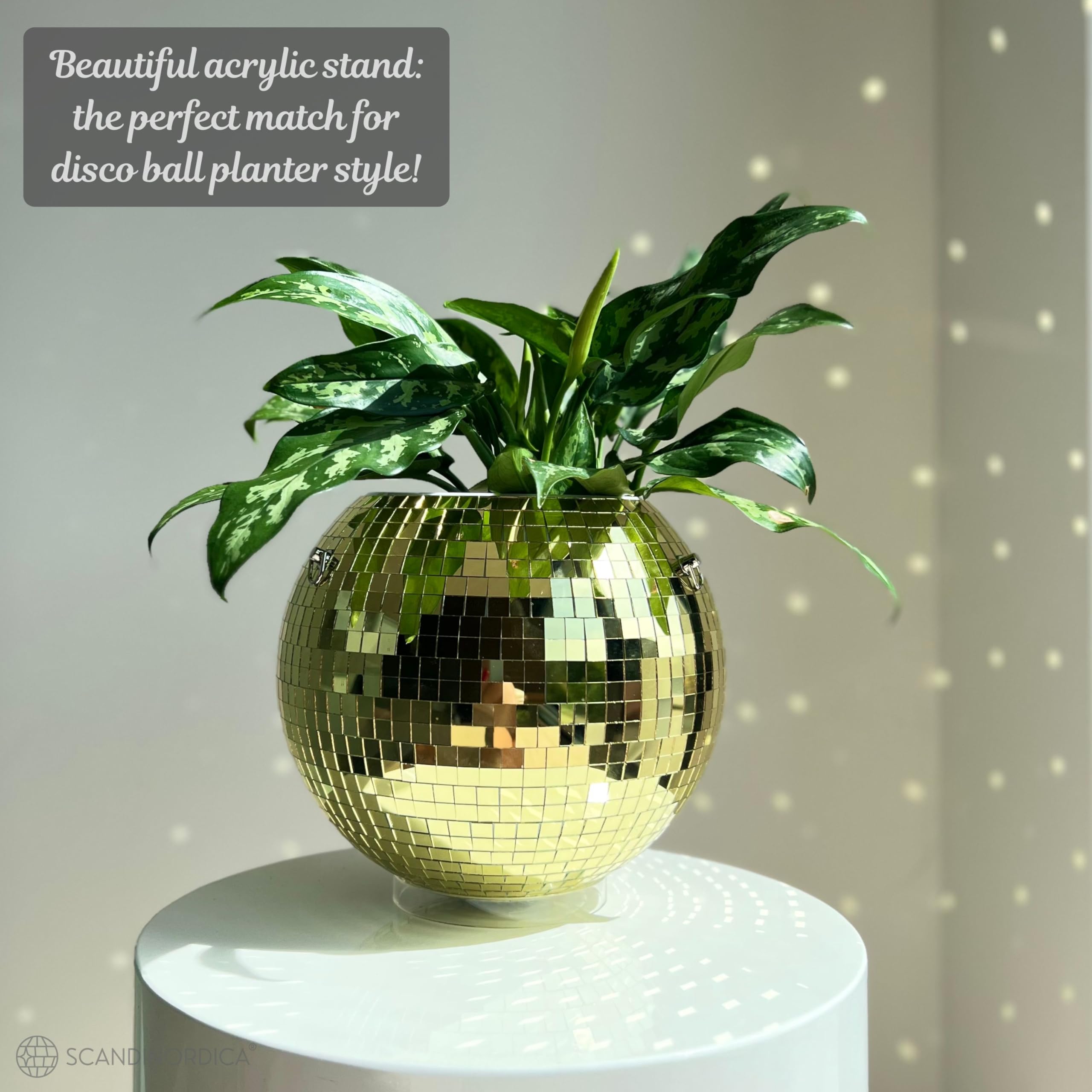 SCANDINORDICA Disco Ball Planter packaging ready for gifting