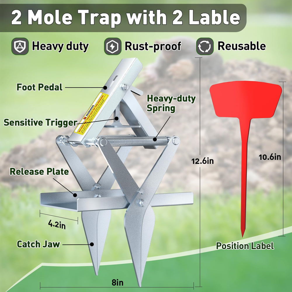 Schadro mole trap set in active mole tunnel for easy capture