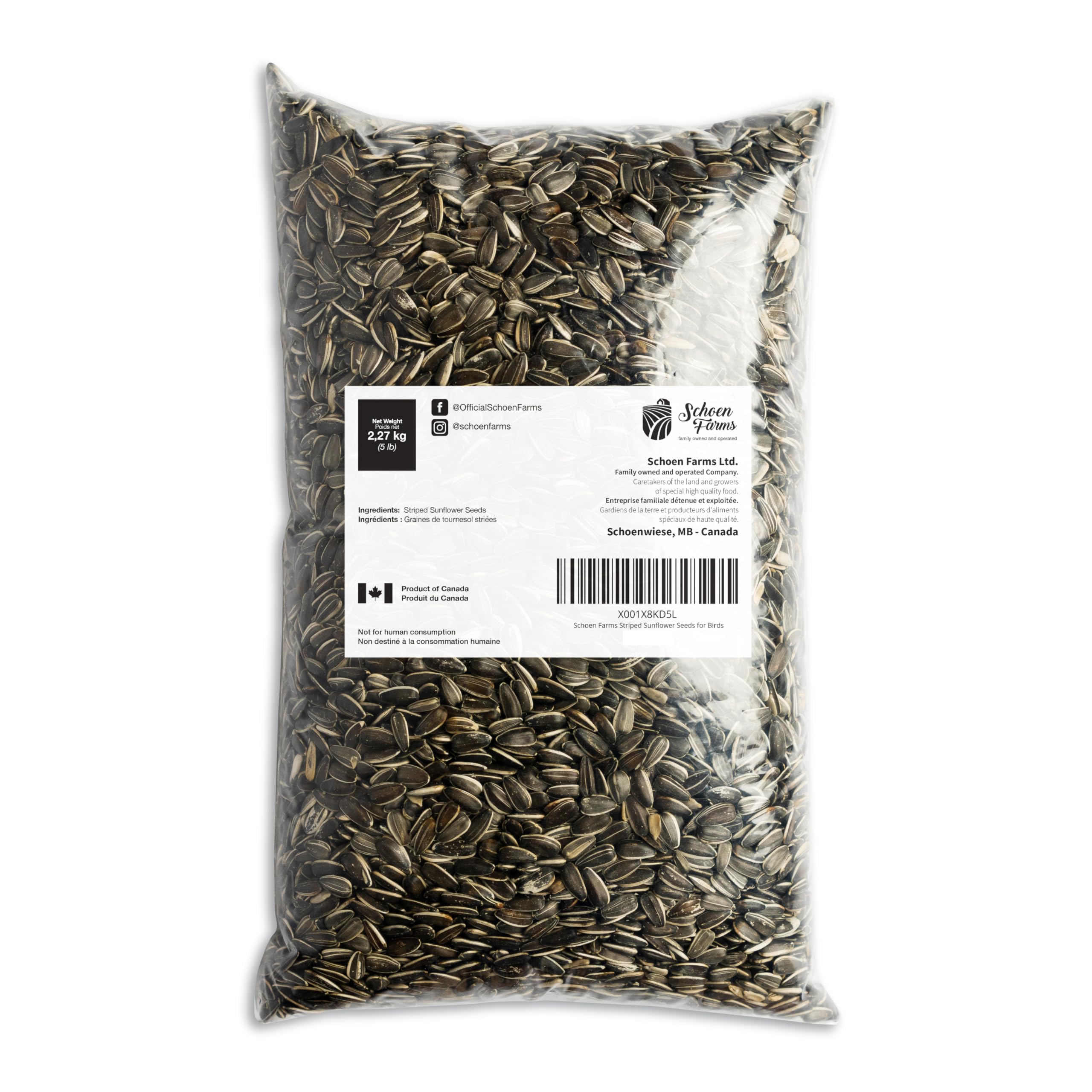 Schoen Farms Striped Sunflower Seeds close-up of seeds