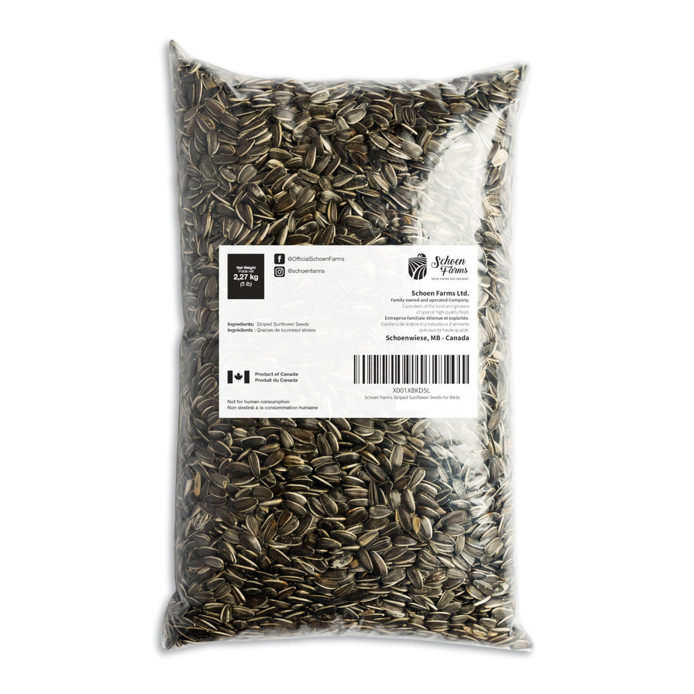 Schoen Farms Striped Sunflower Seeds close-up of seeds