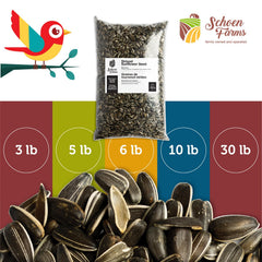 Schoen Farms Striped Sunflower Seeds in bird feeder
