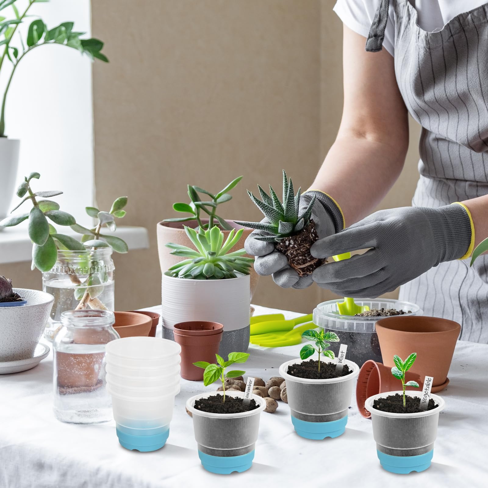 Sckee Clear Nursery Pots and plant labels on table