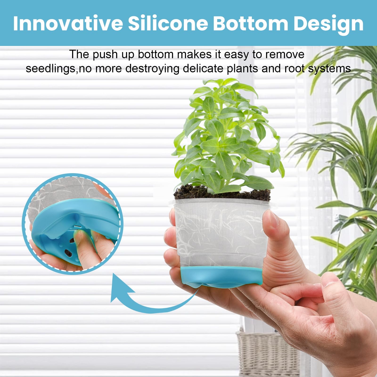 Sckee Clear Nursery Pots with drainage holes close-up