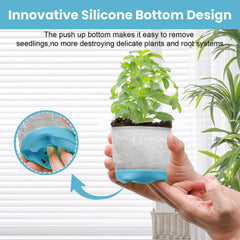 Sckee Clear Nursery Pots with drainage holes close-up