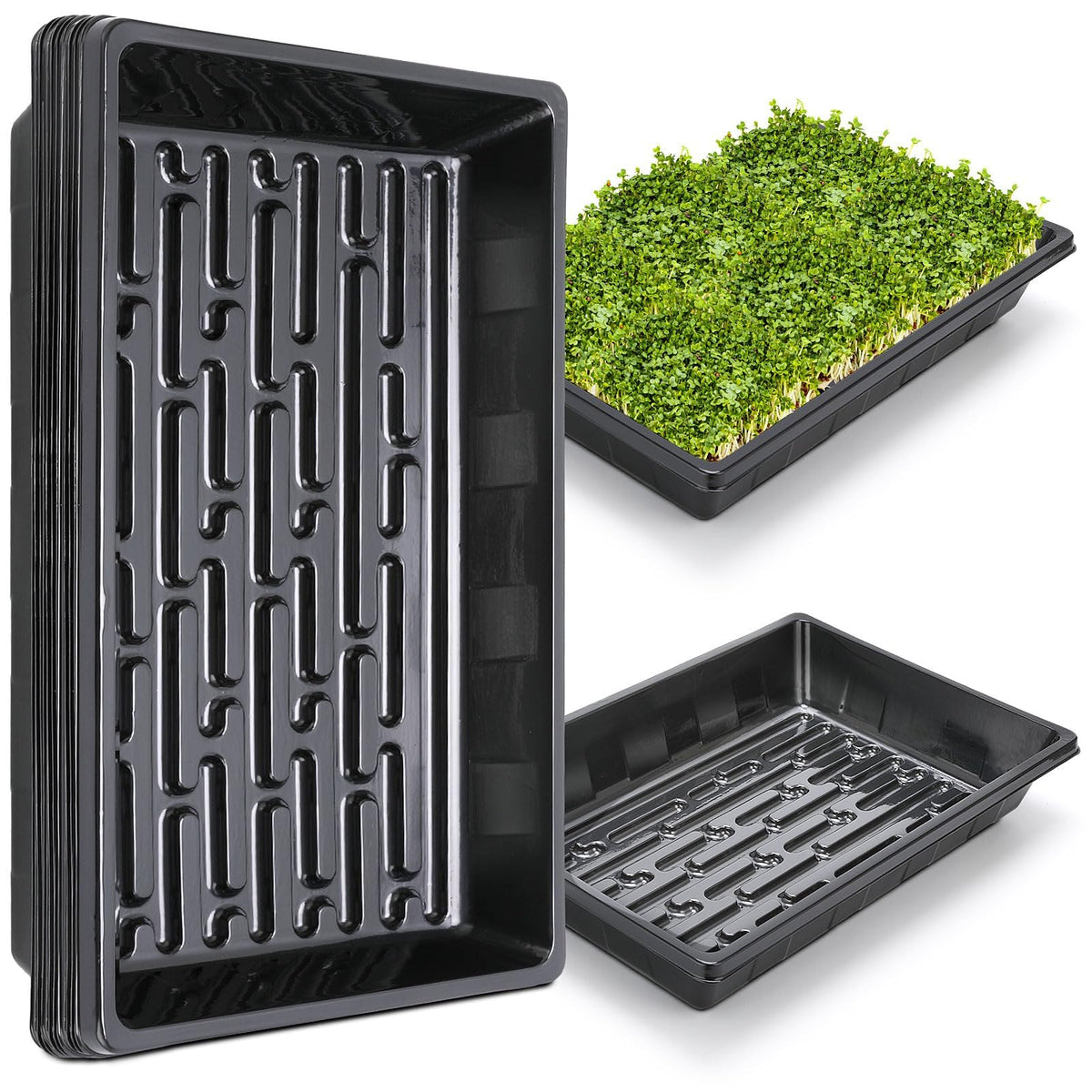 Sckee Plant Growing Tray black model front view
