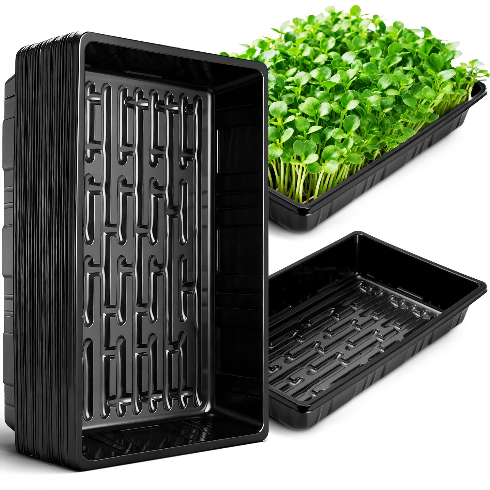 Sckee Plant Growing Tray black model front view