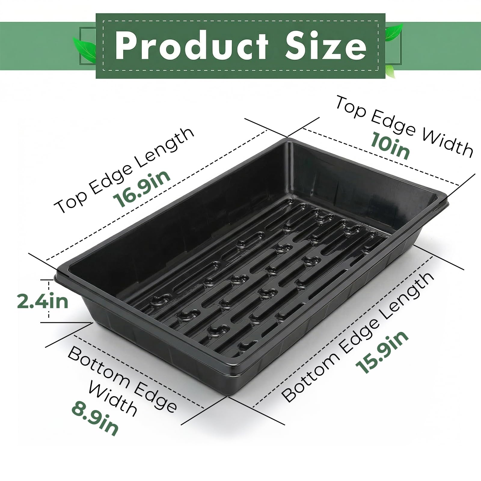Sckee Plant Growing Tray with seedling growth