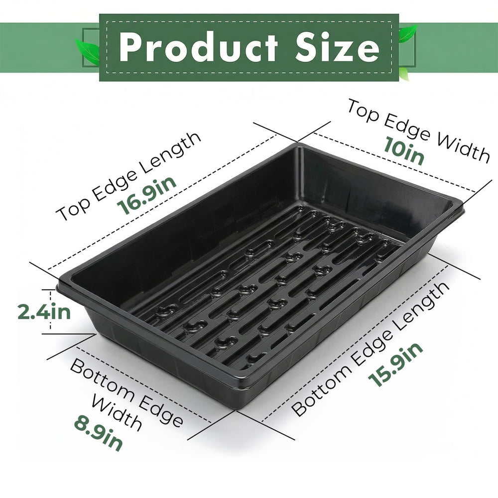 Sckee Plant Growing Tray with seedling growth