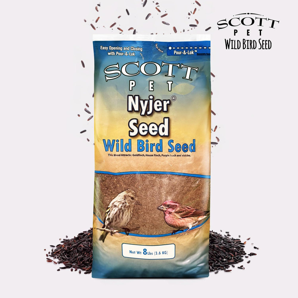Scott Pet Wild Bird Seed Nyjer Seed in natural setting