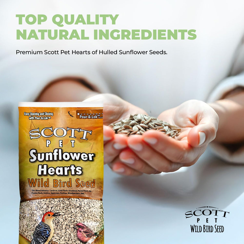 Scott Pet Wild Bird Seed Sunflower Hearts close-up of seeds