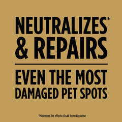 Scotts EZ Seed Dog Spot Repair lawn application process