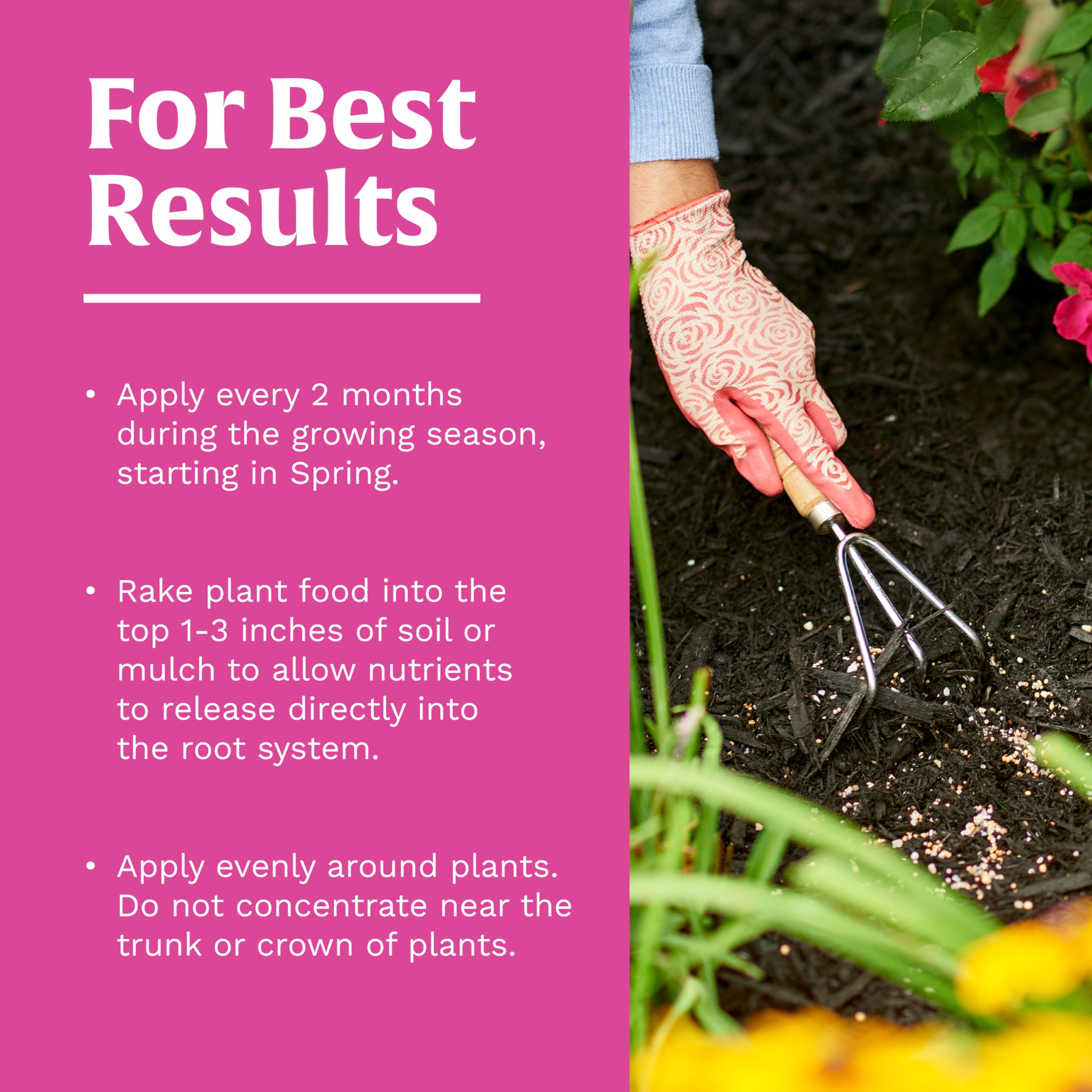 Scotts Rose and Bloom Plant Food in a garden setting