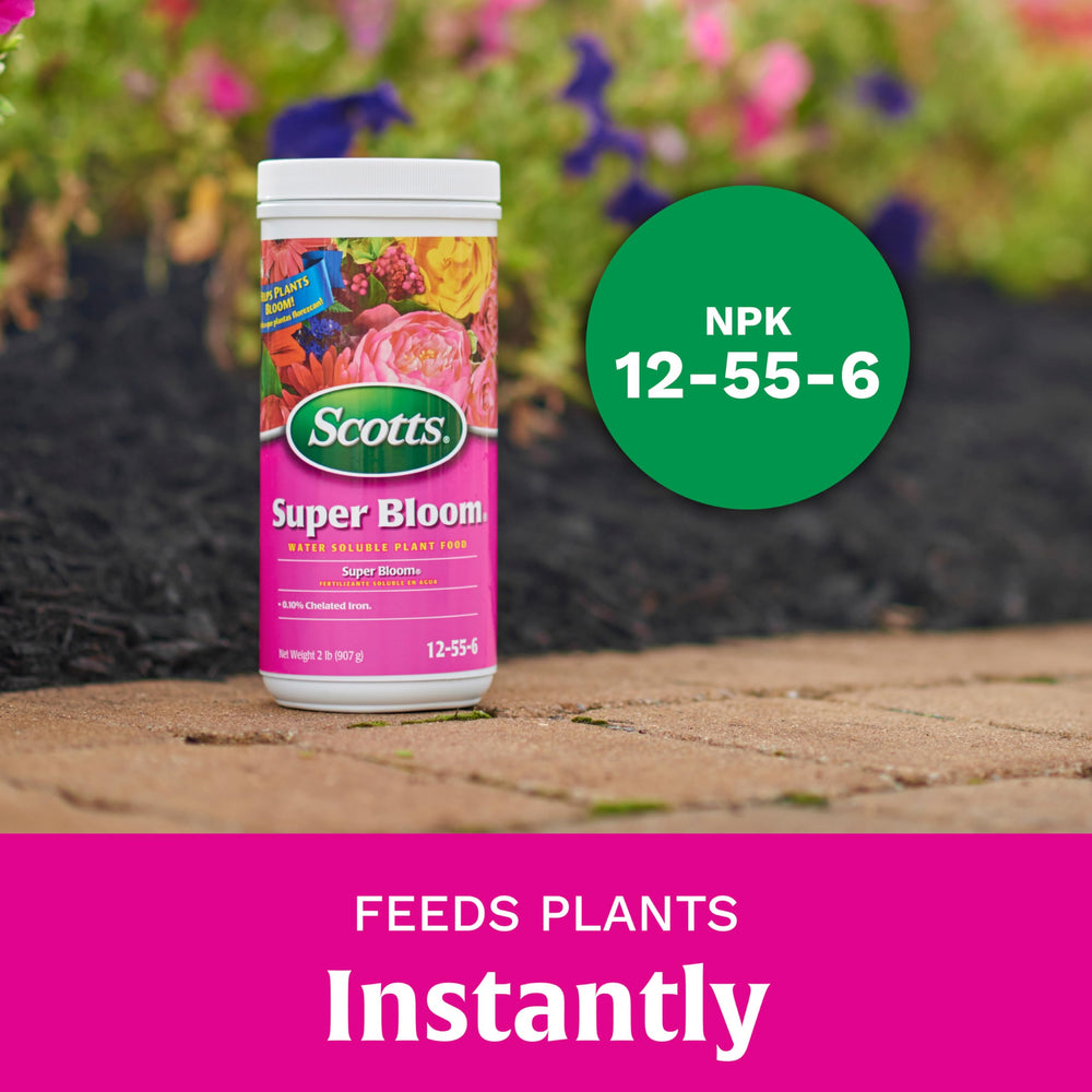 Scotts Super Bloom plant food applied to fruiting plants