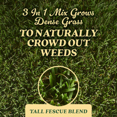Scotts Tall Fescue Blend Grass Seed application instructions