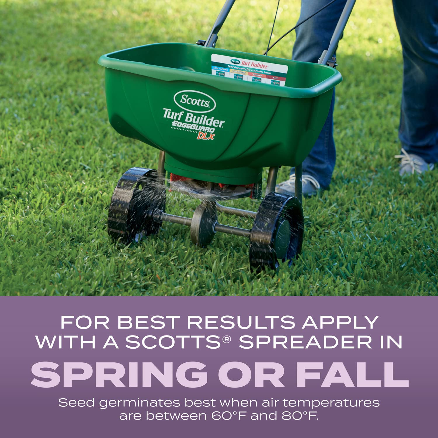 Scotts Turf Builder Grass Seed Perennial Ryegrass Mix bag with measurements