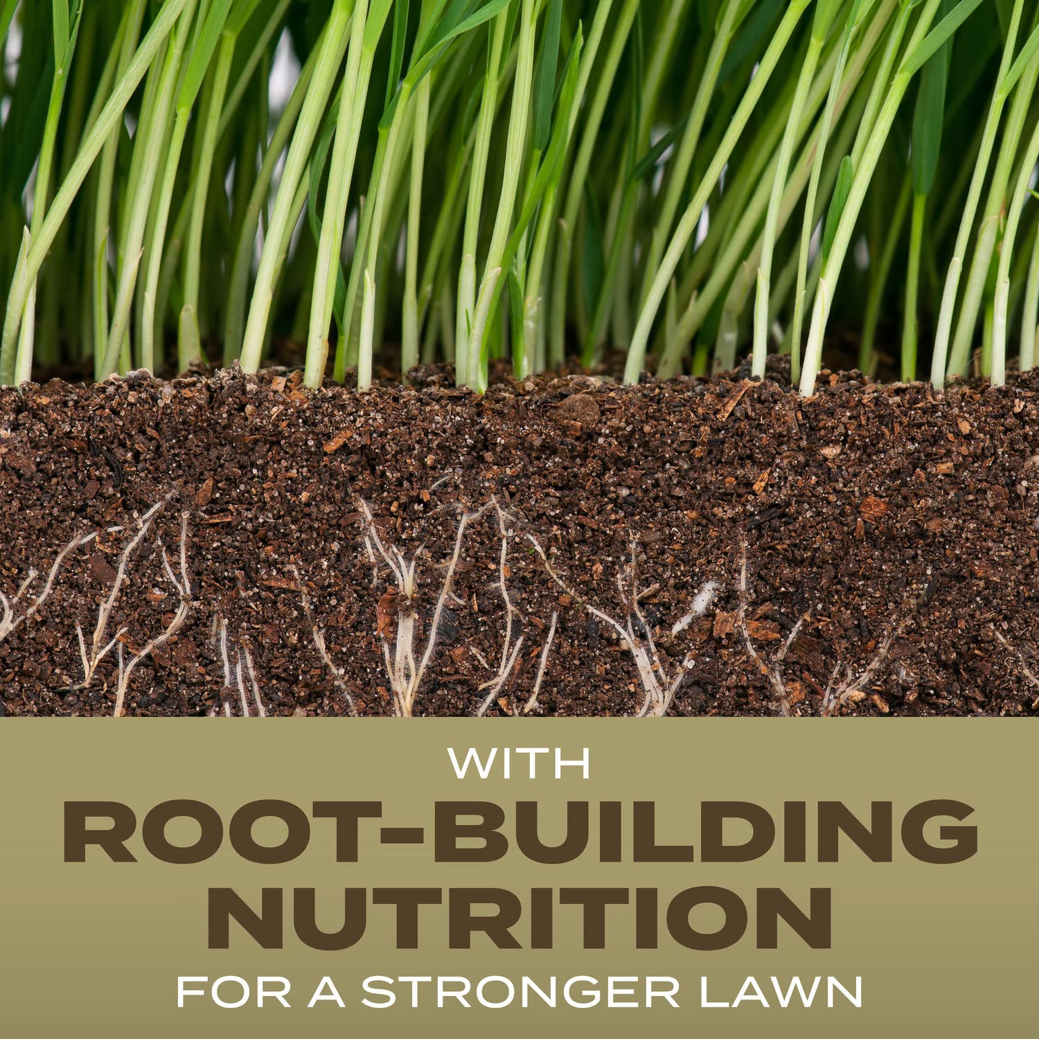 Scotts Turf Builder Grass Seed Southern Gold Mix packaging details