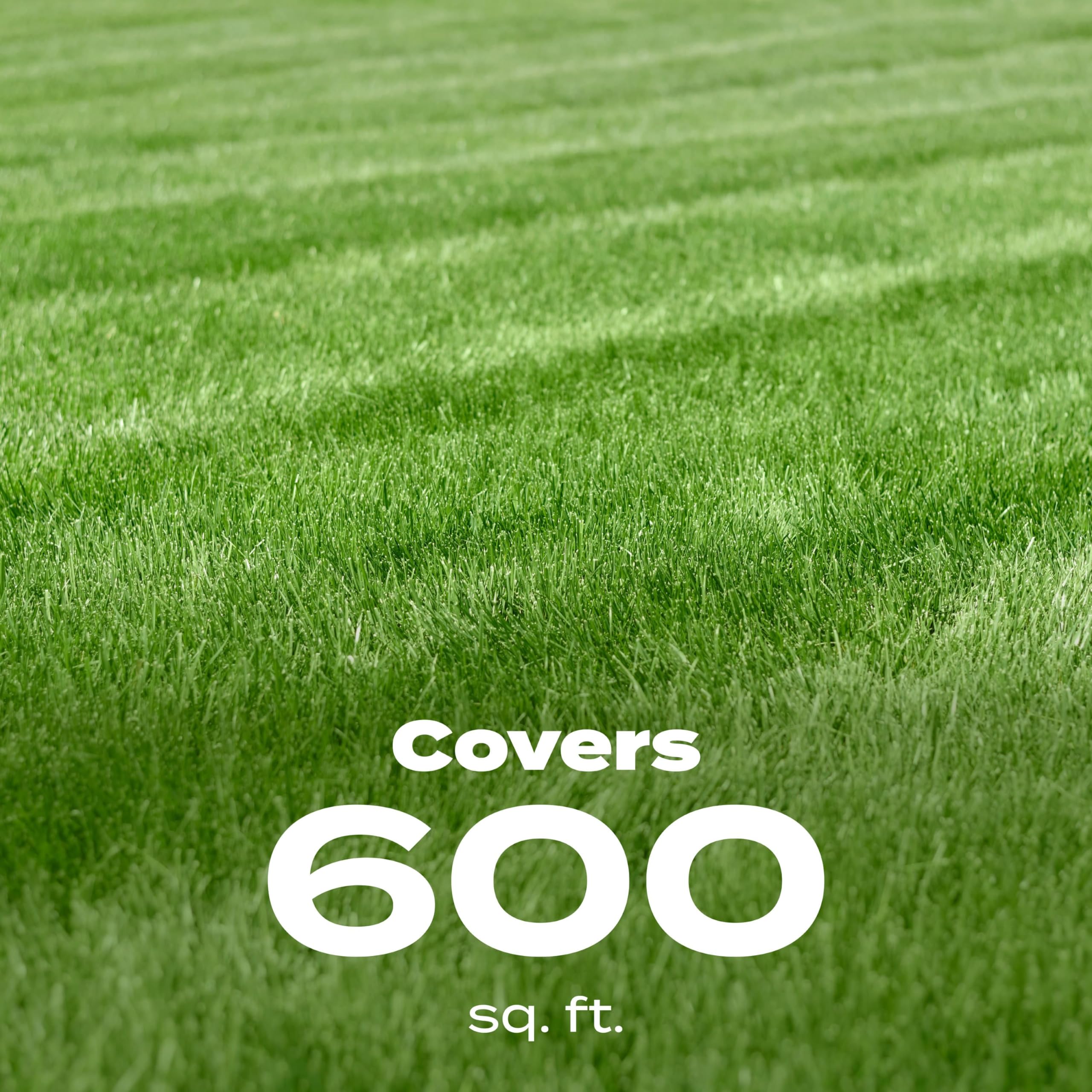 Scotts Turf Builder Starter Food in garden setting