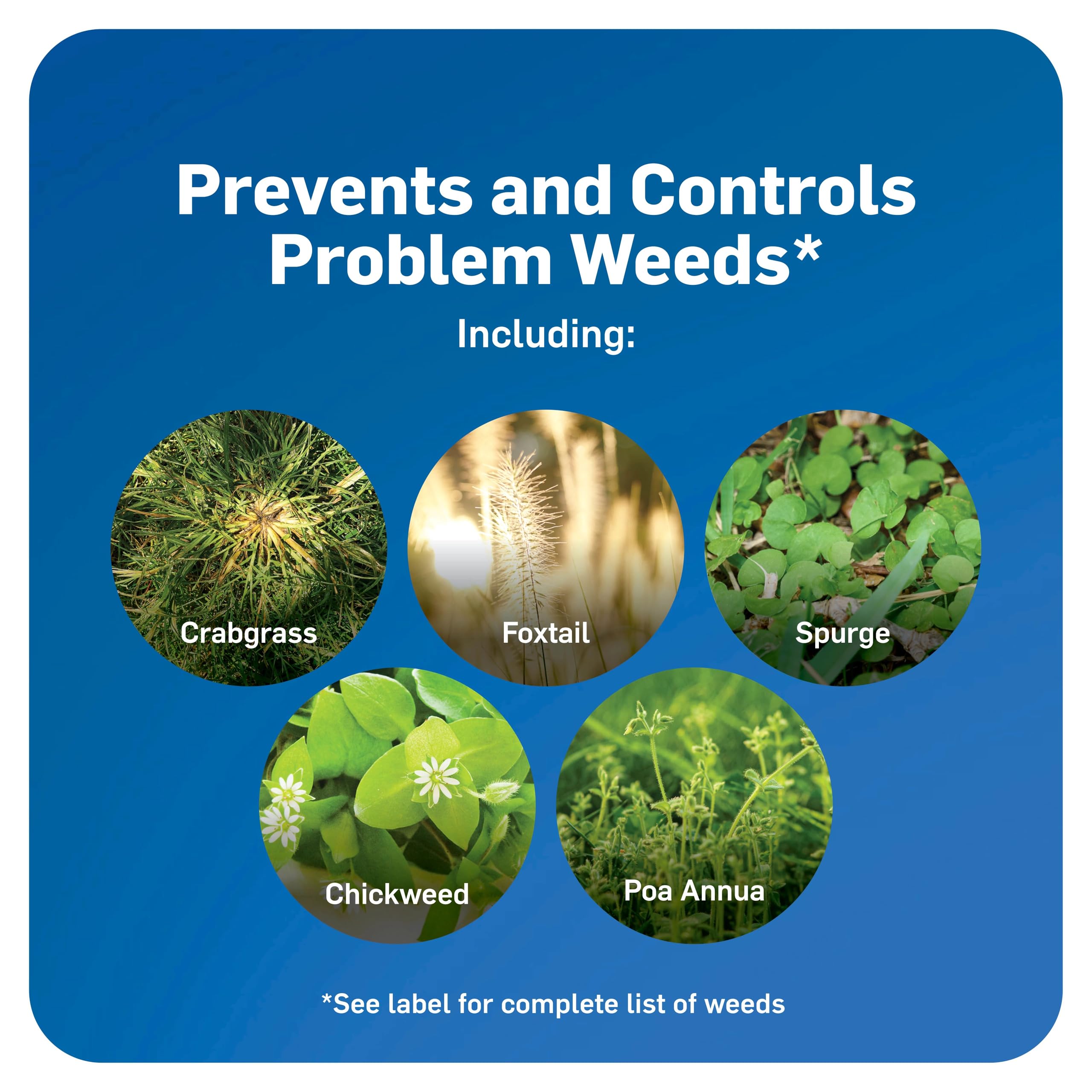 Scotts WeedEx Prevent application on lawn