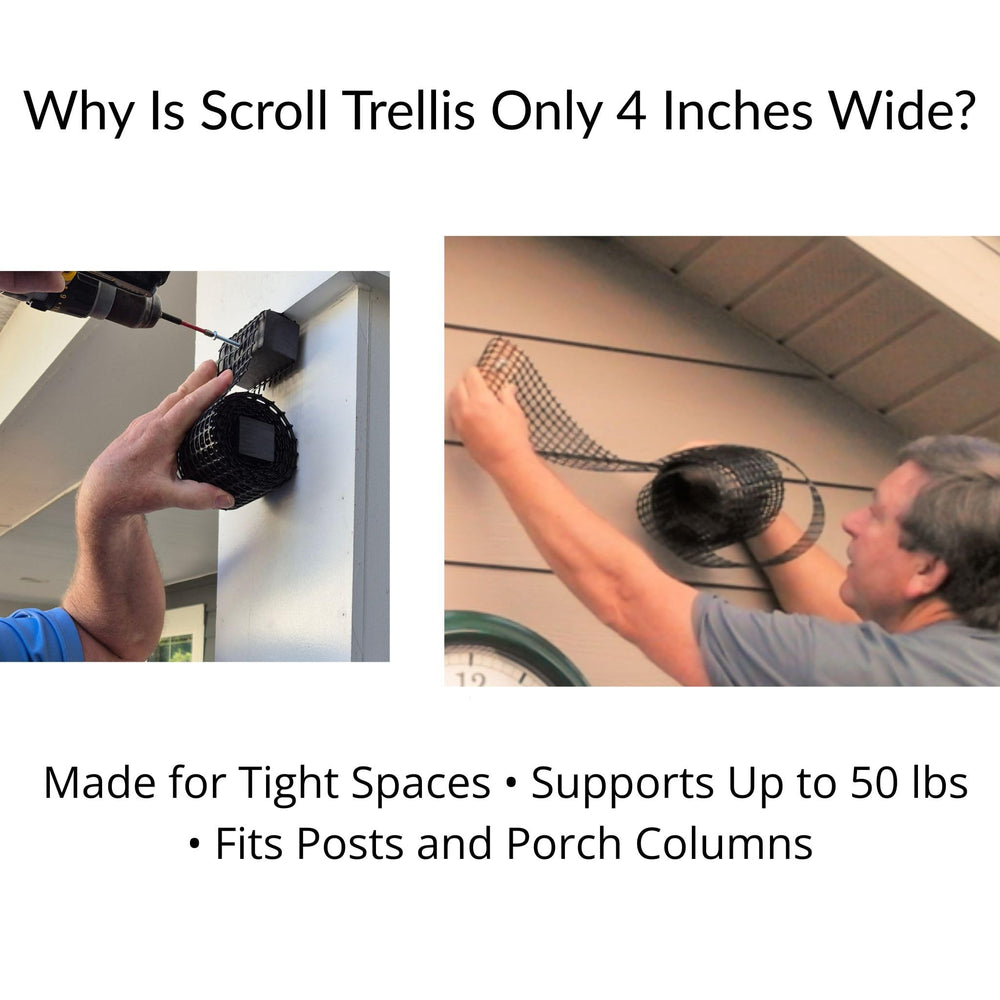 Scroll Trellis packaging and components