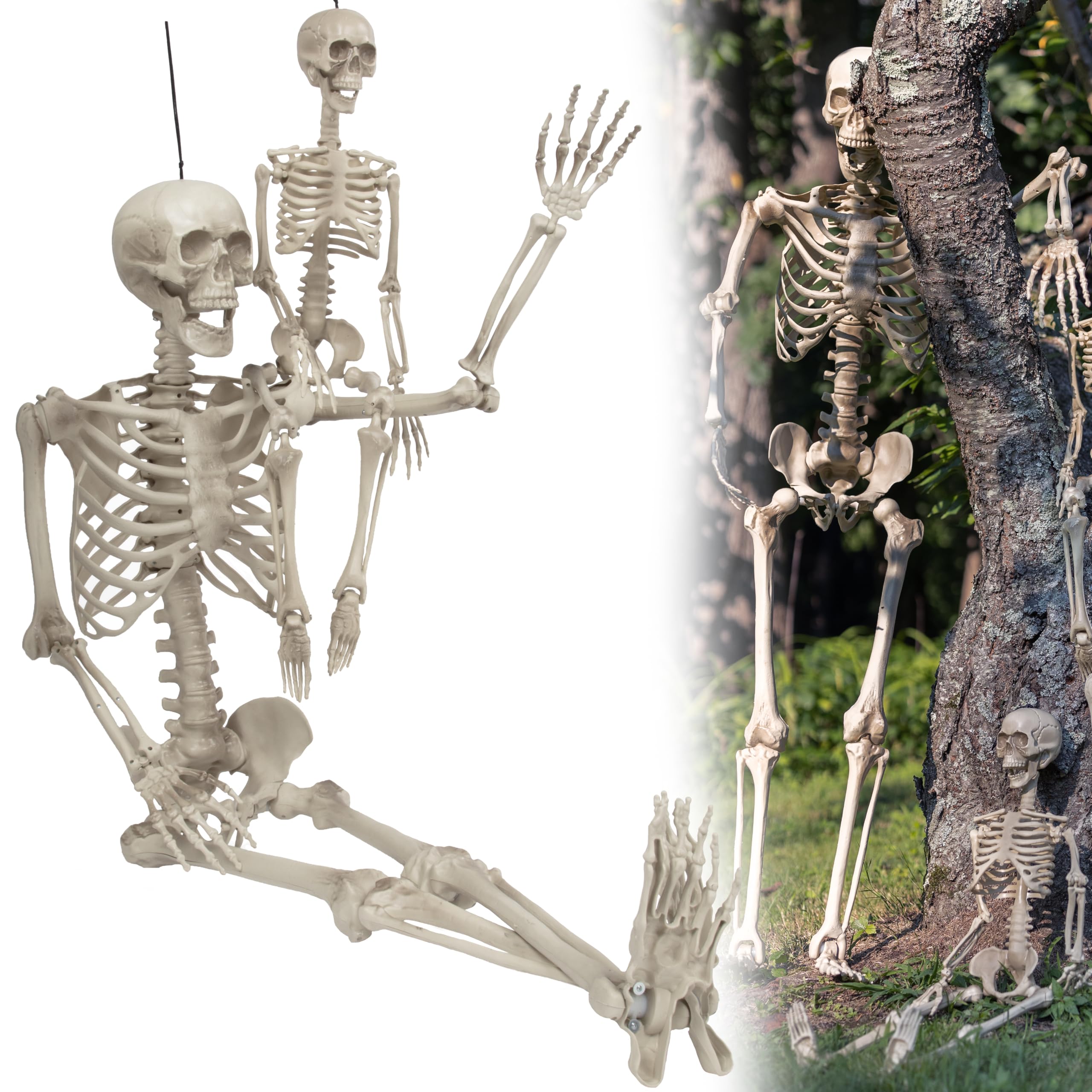 SCS Direct Halloween skeletons on a front porch