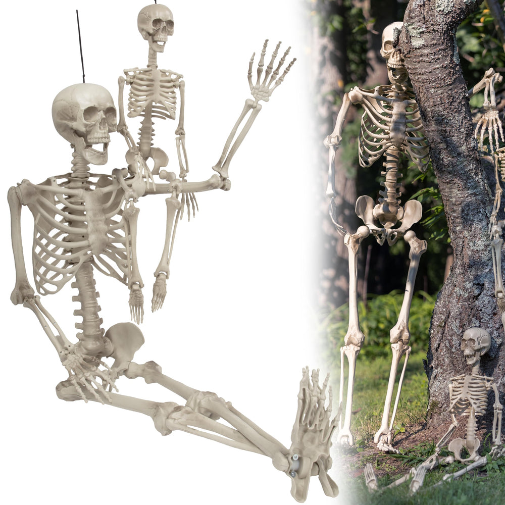 SCS Direct Halloween skeletons on a front porch