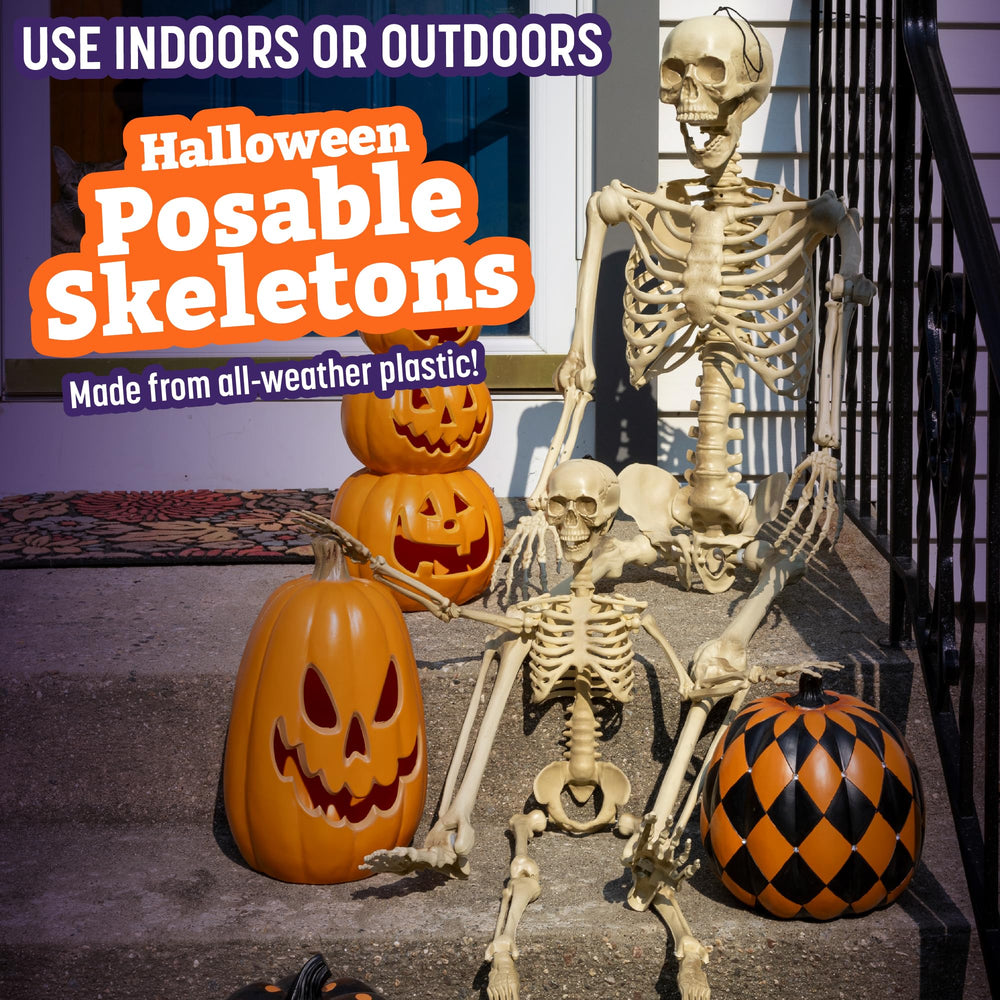 SCS Direct Halloween skeletons with articulated limbs