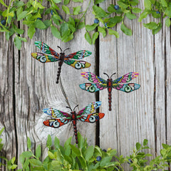 Scwhousi Metal Dragonfly Wall Decor displayed in a living room