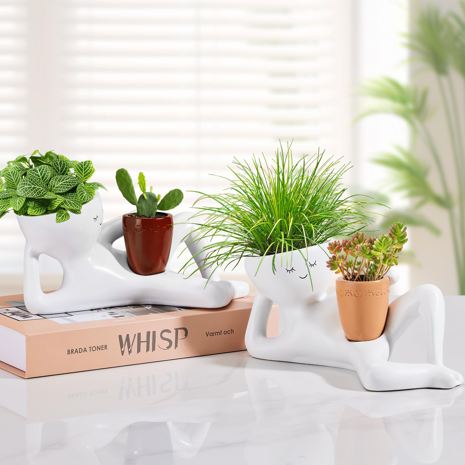 Sederikun Face Planter side view with succulent