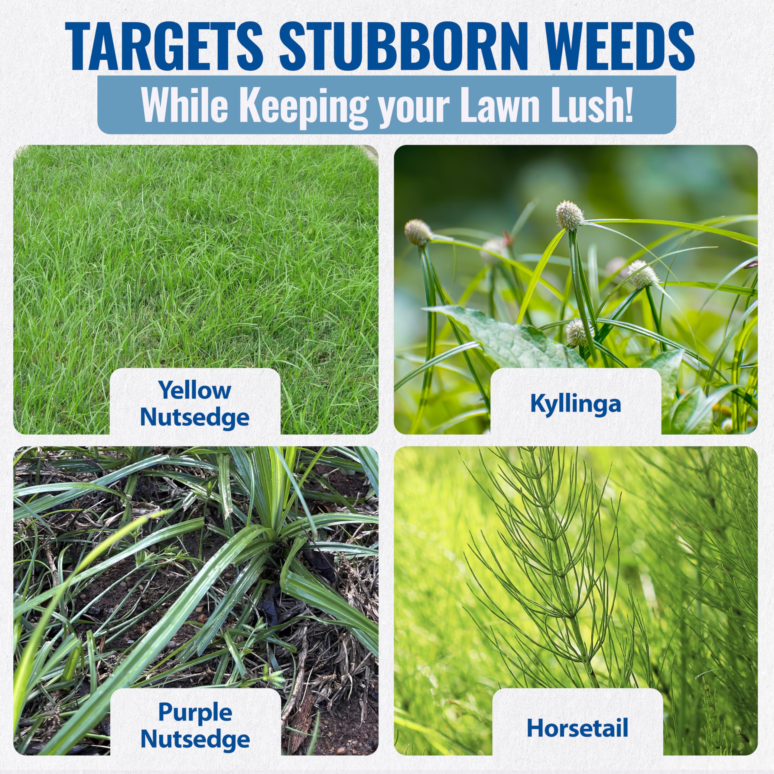 Sedgehammer Plus application to a lawn area