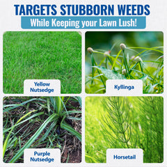 Sedgehammer Plus application to a lawn area