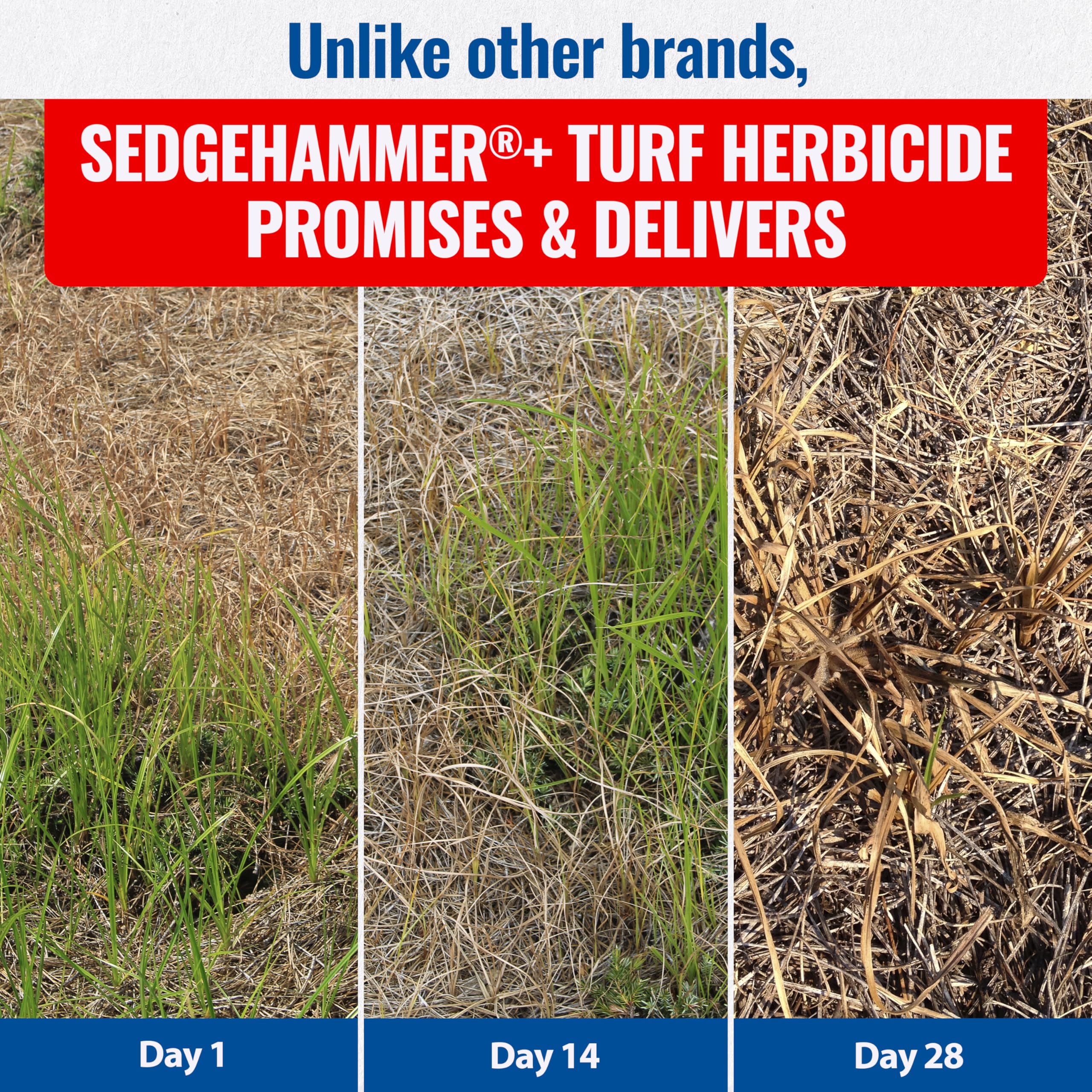 SEDGEHAMMER Turf Herbicide on a grassy area