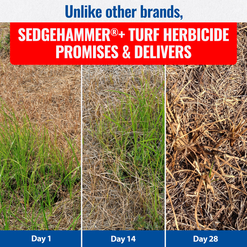 SEDGEHAMMER Turf Herbicide on a grassy area