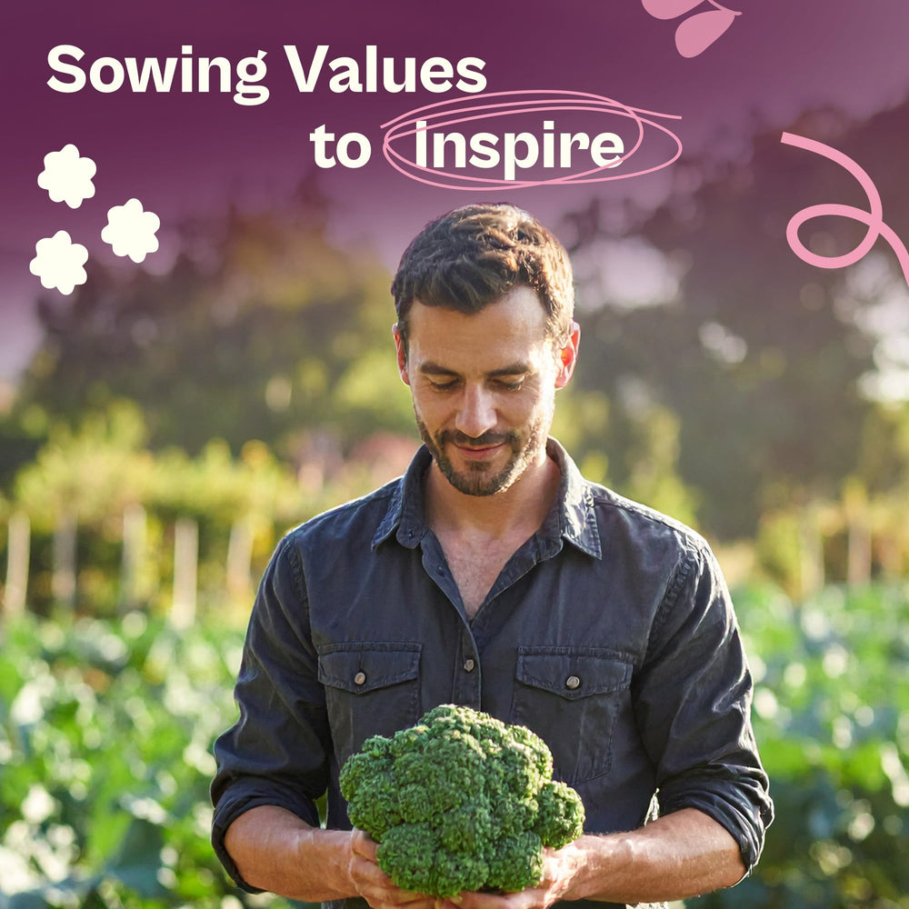 Seed germination process for broccoli