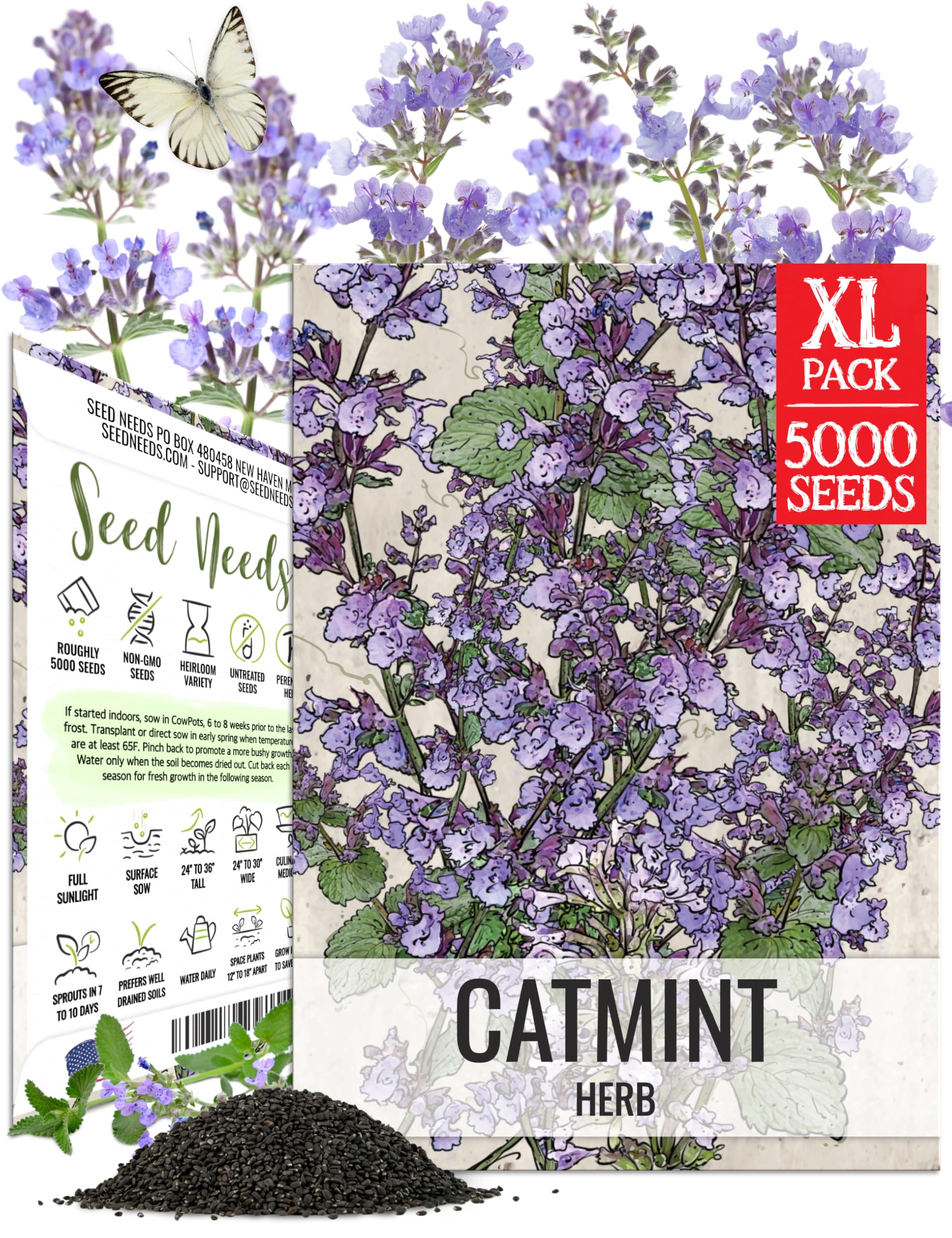 Seed Needs Catmint Seeds packet front view with illustration