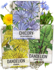 Seed Needs Dandelion Seeds Variety Pack front view with illustrations