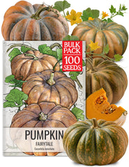 Seed Needs Fairytale Pumpkin Seeds bulk pack front view