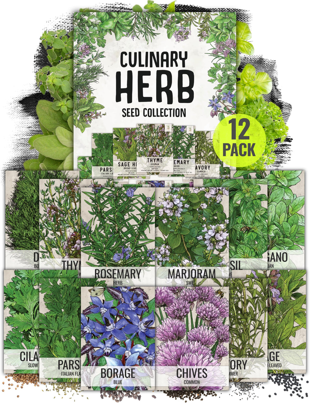Seed Needs Herb Seeds Variety Pack of 12 with fresh herbs illustration