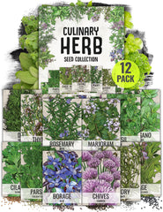 Seed Needs Herb Seeds Variety Pack of 12 with fresh herbs illustration