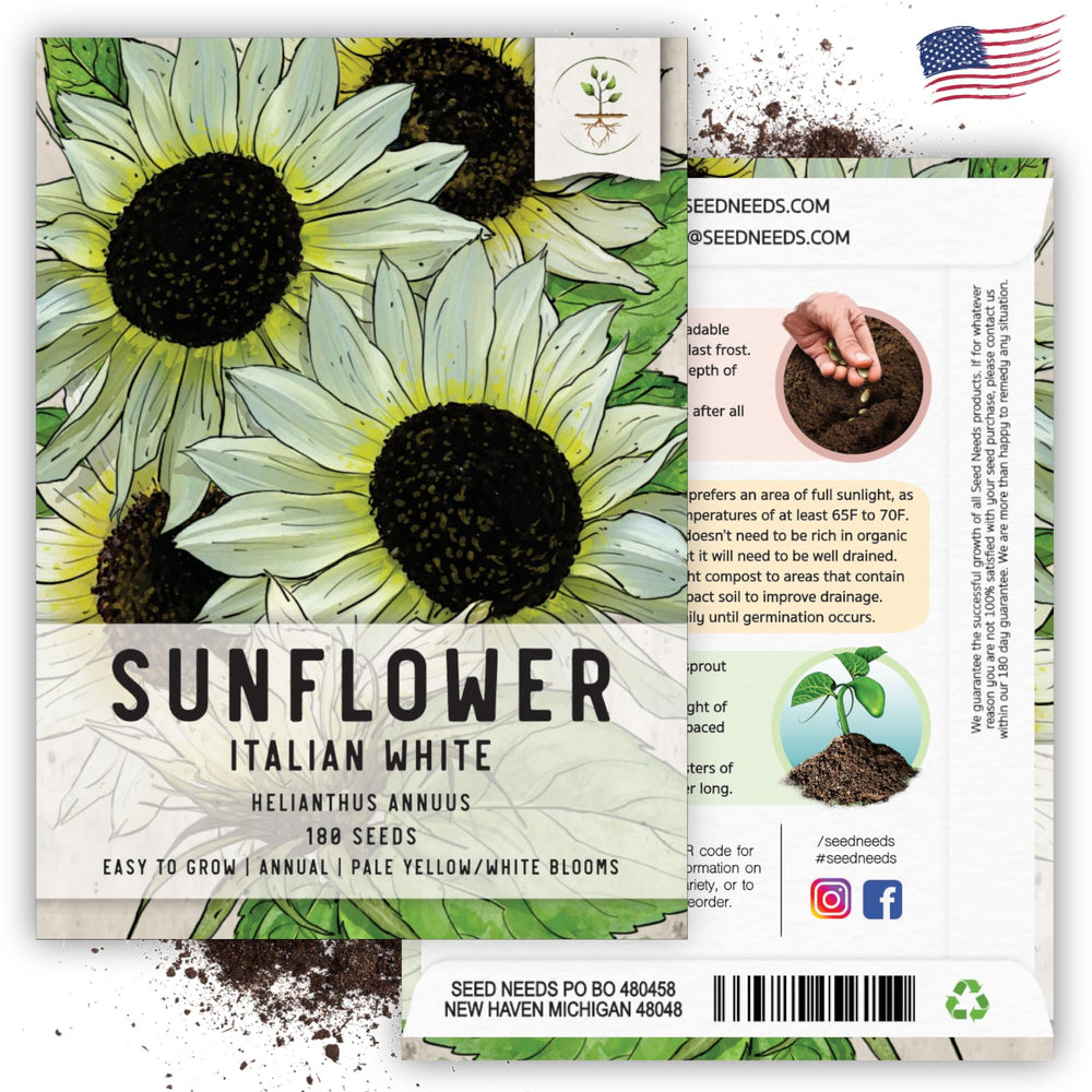 Seed Needs Italian White Sunflower Seeds back packet view