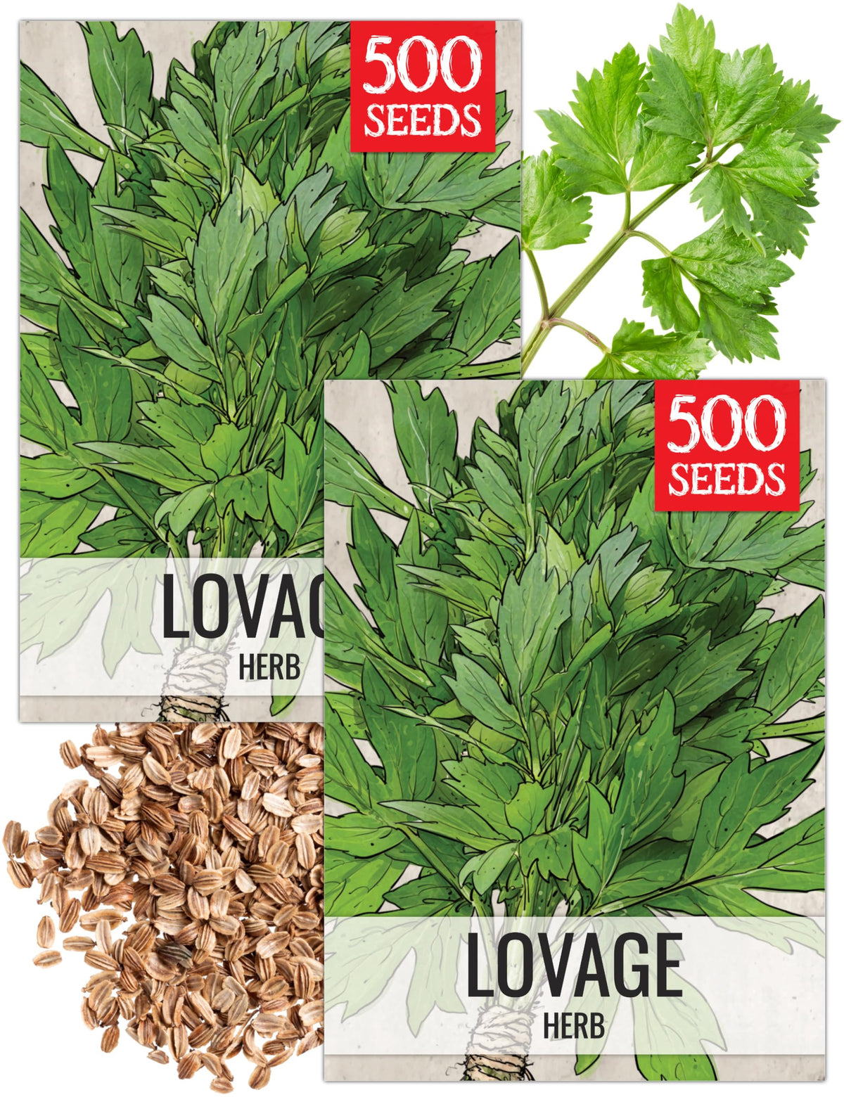 Seed Needs Lovage Herb Seeds front view, artistic packet design