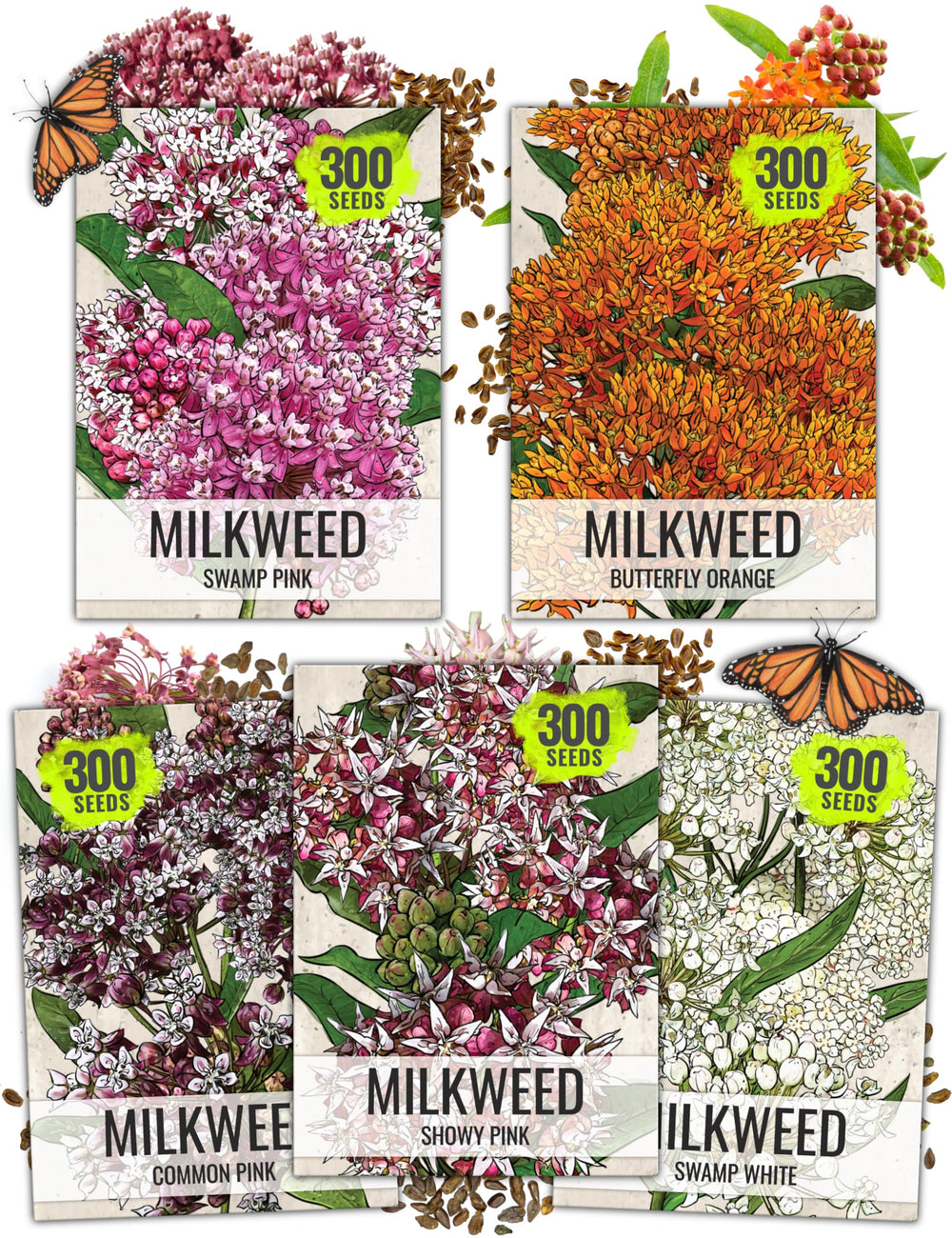 Seed Needs Milkweed Seeds variety pack front view with colourful illustrations
