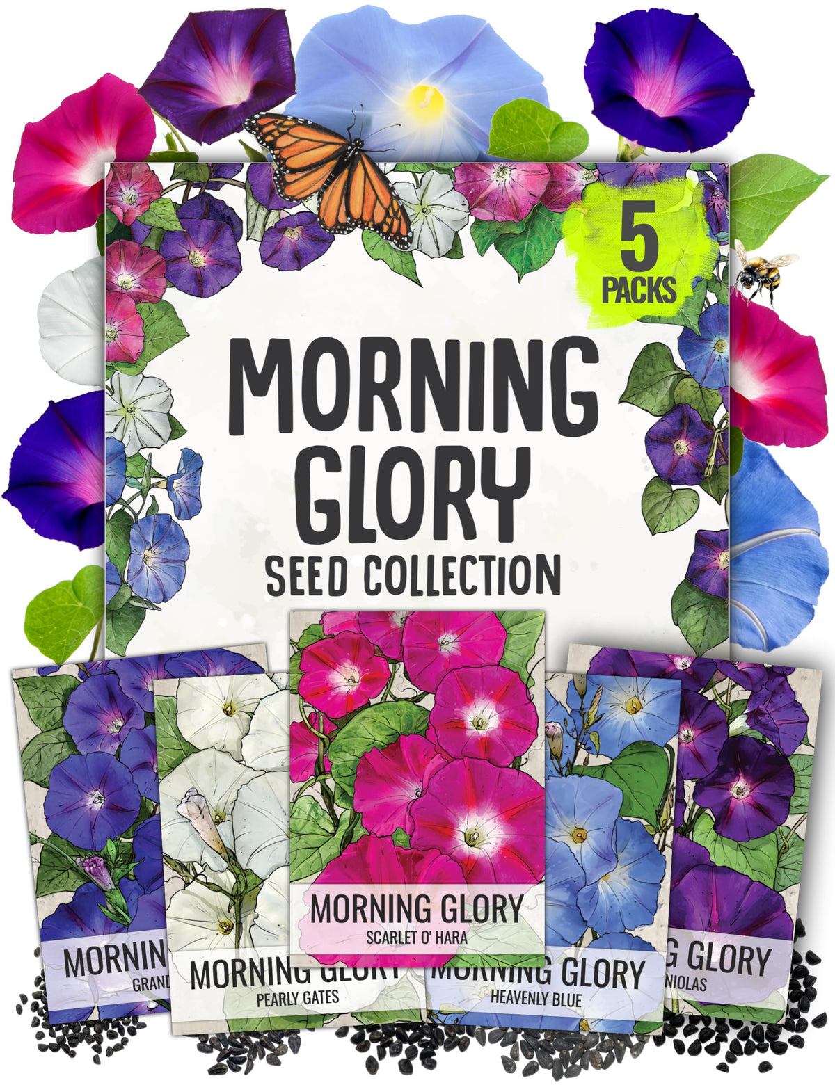 Seed Needs Morning Glory Seeds variety pack front view with artistic illustrations