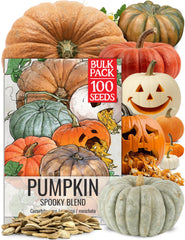 Seed Needs Pumpkin Seeds Spooky Mix bulk pack front view