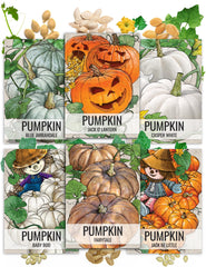 Seed Needs Pumpkin Seeds Variety Pack 6 specialty types front view