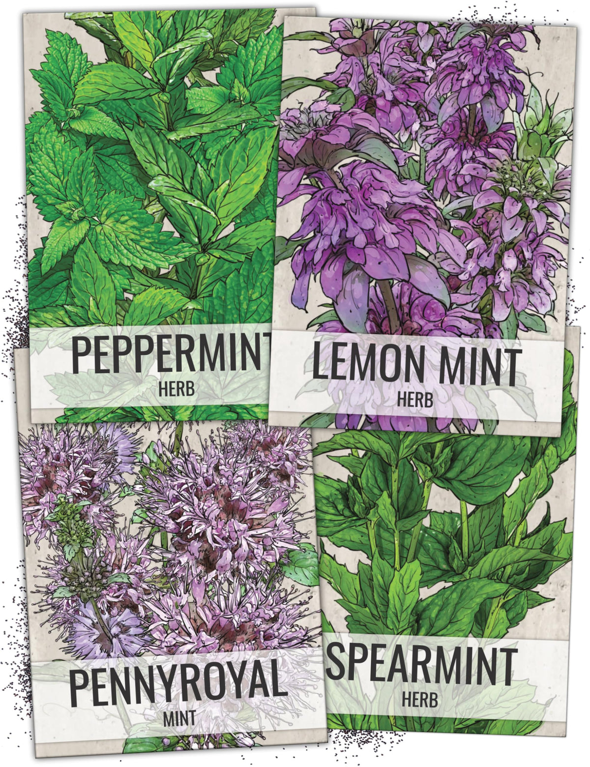 Seed Needs Spearmint Seeds packet front view with illustration
